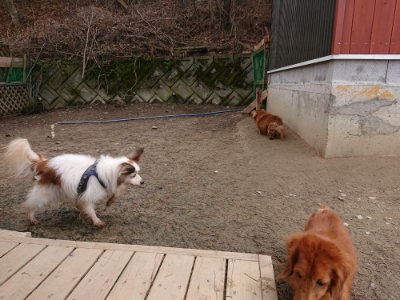 f:id:roukenhome-ann:20190403194009j:plain