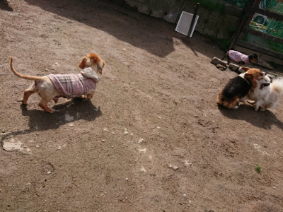 f:id:roukenhome-ann:20190403194110j:plain