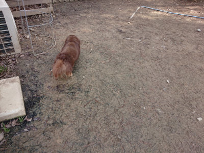 f:id:roukenhome-ann:20190403194228j:plain
