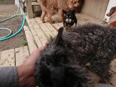 f:id:roukenhome-ann:20190403194238j:plain