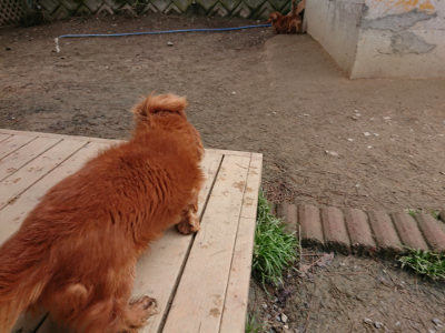 f:id:roukenhome-ann:20190403194258j:plain