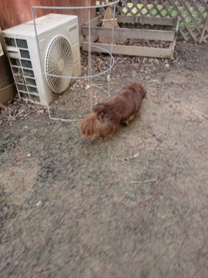 f:id:roukenhome-ann:20190403194303j:plain