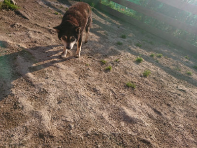 f:id:roukenhome-ann:20190404052933j:plain