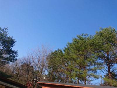 f:id:roukenhome-ann:20190404052938j:plain