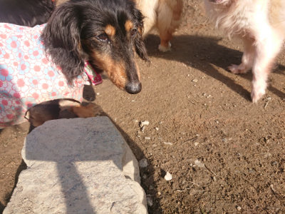 f:id:roukenhome-ann:20190404052944j:plain