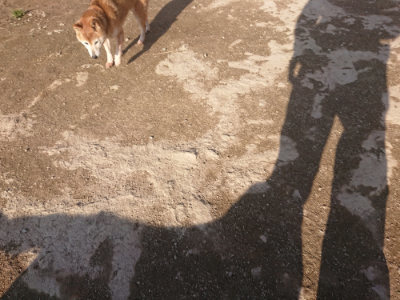 f:id:roukenhome-ann:20190404052955j:plain