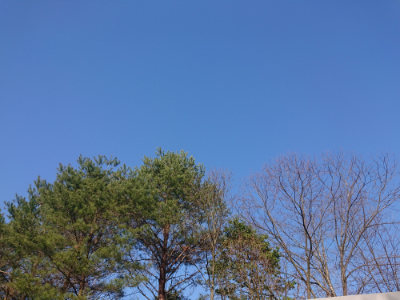 f:id:roukenhome-ann:20190404053000j:plain