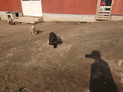 f:id:roukenhome-ann:20190404053011j:plain