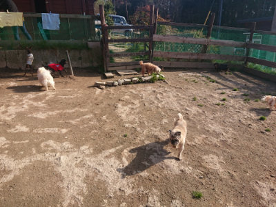 f:id:roukenhome-ann:20190404053049j:plain