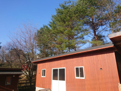 f:id:roukenhome-ann:20190404053054j:plain