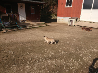 f:id:roukenhome-ann:20190404053208j:plain