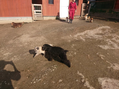 f:id:roukenhome-ann:20190404053219j:plain