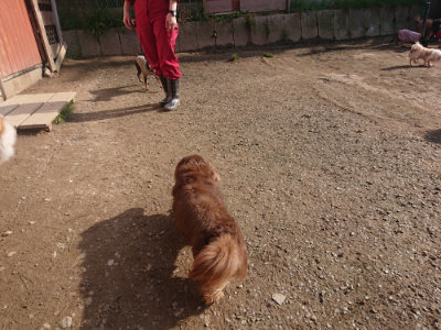 f:id:roukenhome-ann:20190404053312j:plain