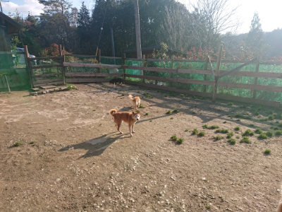 f:id:roukenhome-ann:20190404053322j:plain