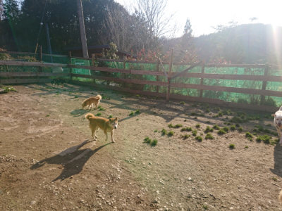 f:id:roukenhome-ann:20190404053327j:plain