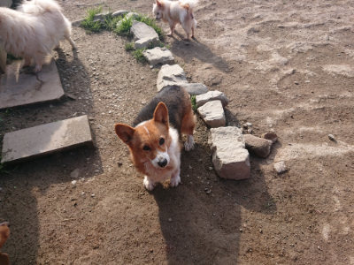 f:id:roukenhome-ann:20190404053337j:plain