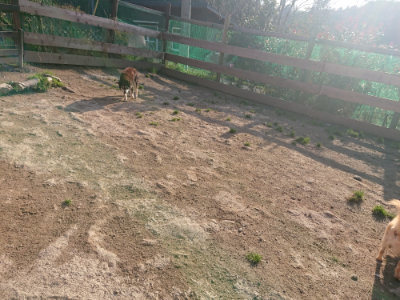f:id:roukenhome-ann:20190404053349j:plain
