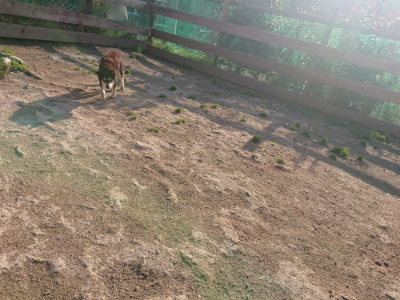 f:id:roukenhome-ann:20190404053355j:plain