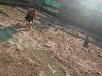 f:id:roukenhome-ann:20190404053401j:plain