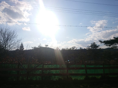 f:id:roukenhome-ann:20190404053418j:plain