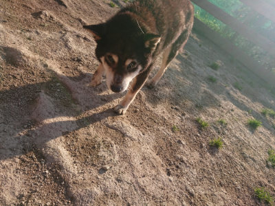 f:id:roukenhome-ann:20190404053440j:plain