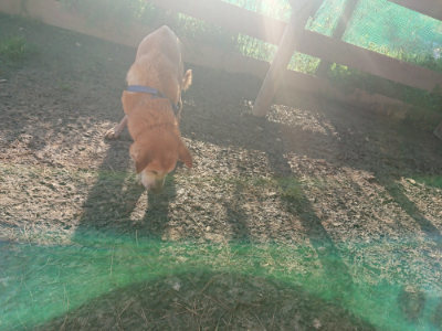 f:id:roukenhome-ann:20190404053649j:plain
