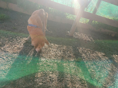 f:id:roukenhome-ann:20190404053659j:plain