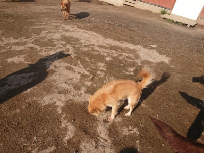 f:id:roukenhome-ann:20190404053704j:plain