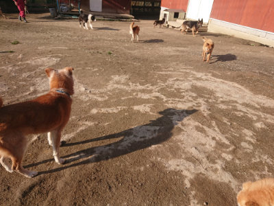 f:id:roukenhome-ann:20190404053733j:plain