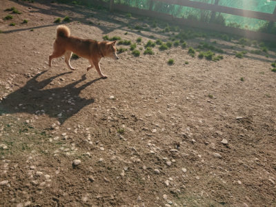 f:id:roukenhome-ann:20190404053821j:plain