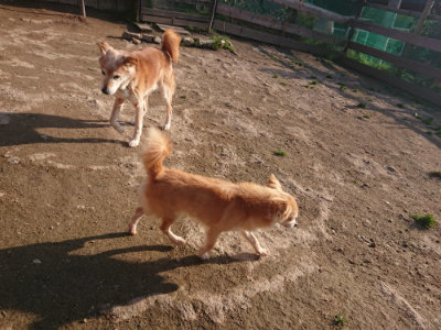 f:id:roukenhome-ann:20190404053909j:plain