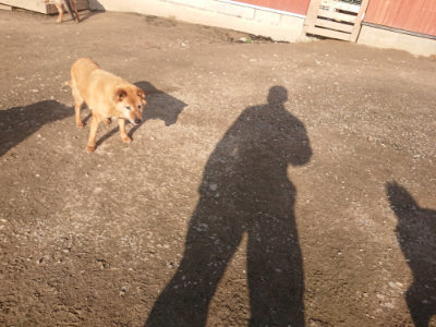 f:id:roukenhome-ann:20190404053931j:plain