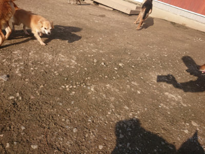 f:id:roukenhome-ann:20190404053942j:plain