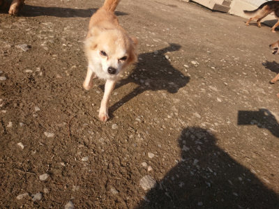 f:id:roukenhome-ann:20190404053947j:plain