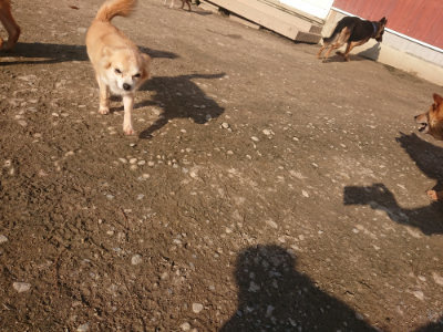 f:id:roukenhome-ann:20190404054009j:plain