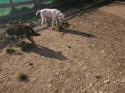 f:id:roukenhome-ann:20190404054019j:plain