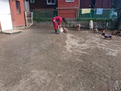 f:id:roukenhome-ann:20190404054024j:plain