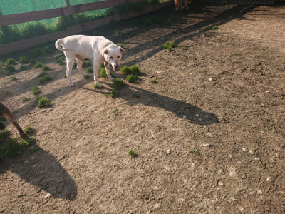 f:id:roukenhome-ann:20190404054123j:plain