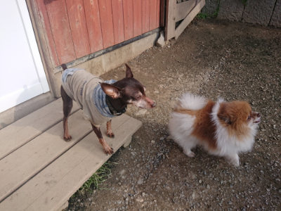 f:id:roukenhome-ann:20190404054203j:plain