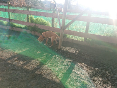 f:id:roukenhome-ann:20190404054213j:plain