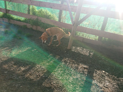 f:id:roukenhome-ann:20190404054218j:plain