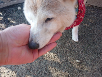 f:id:roukenhome-ann:20190404054234j:plain