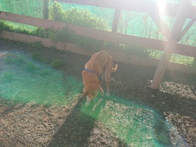 f:id:roukenhome-ann:20190404054244j:plain
