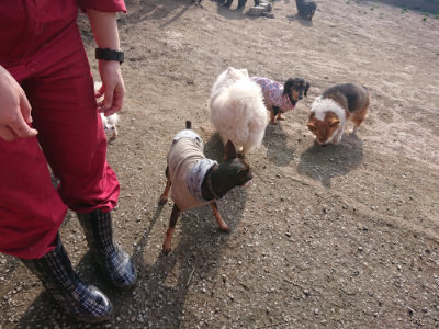 f:id:roukenhome-ann:20190404054249j:plain