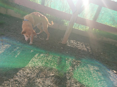 f:id:roukenhome-ann:20190404054300j:plain