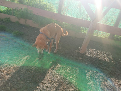 f:id:roukenhome-ann:20190404054305j:plain