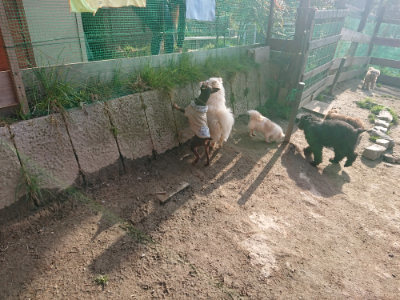 f:id:roukenhome-ann:20190404054317j:plain