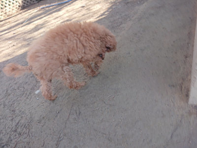 f:id:roukenhome-ann:20190404160029j:plain