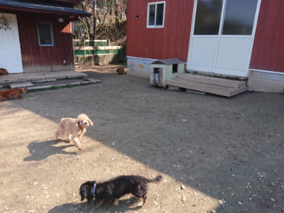 f:id:roukenhome-ann:20190404160035j:plain