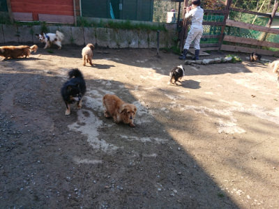 f:id:roukenhome-ann:20190404160055j:plain